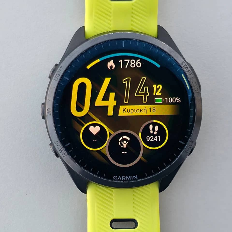 Garmin Forerunner 965 Smartwatches Gray 47mm New