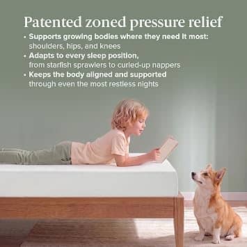 Zinus Green Tea Memory Foam Mattress Mattresses New Twin 5"